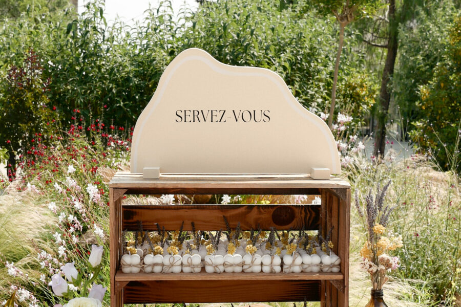 Solène&Clément-ColineBerger-07-06-2025-9